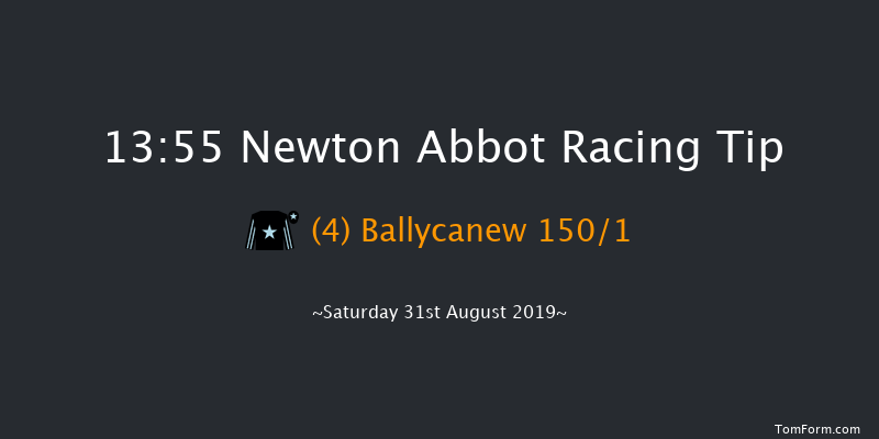 Newton Abbot 13:55 Maiden Hurdle (Class 3) 17f Tue 20th Aug 2019