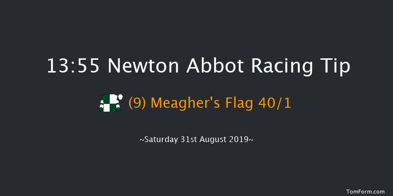 Newton Abbot 13:55 Maiden Hurdle (Class 3) 17f Tue 20th Aug 2019