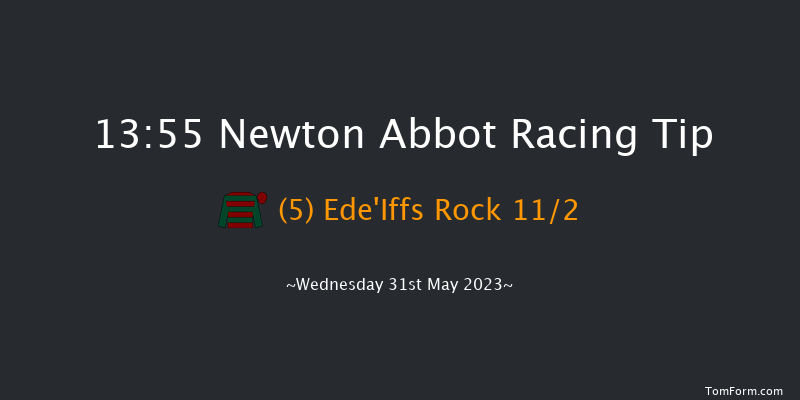 Newton Abbot 13:55 Novices Hurdle (Class 4) 17f Wed 17th May 2023