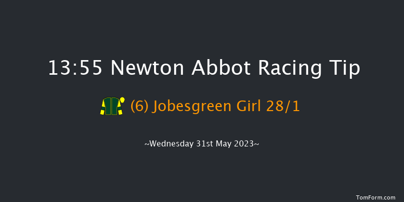 Newton Abbot 13:55 Novices Hurdle (Class 4) 17f Wed 17th May 2023