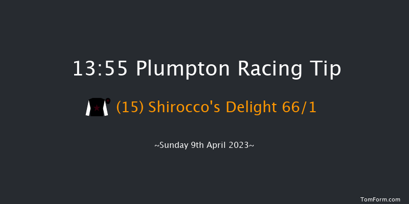 Plumpton 13:55 Handicap Hurdle (Class 5) 20f Tue 21st Mar 2023
