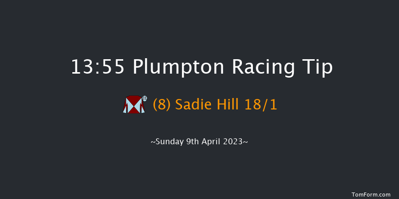Plumpton 13:55 Handicap Hurdle (Class 5) 20f Tue 21st Mar 2023