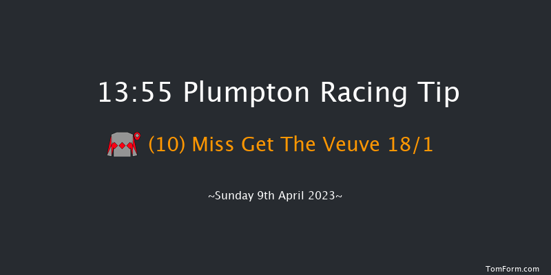 Plumpton 13:55 Handicap Hurdle (Class 5) 20f Tue 21st Mar 2023