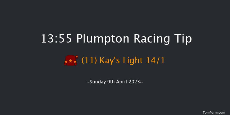 Plumpton 13:55 Handicap Hurdle (Class 5) 20f Tue 21st Mar 2023