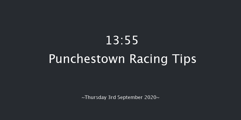 Flat Racing Back In Town Race Punchestown 13:55 Stakes 7f Wed 19th Feb 2020