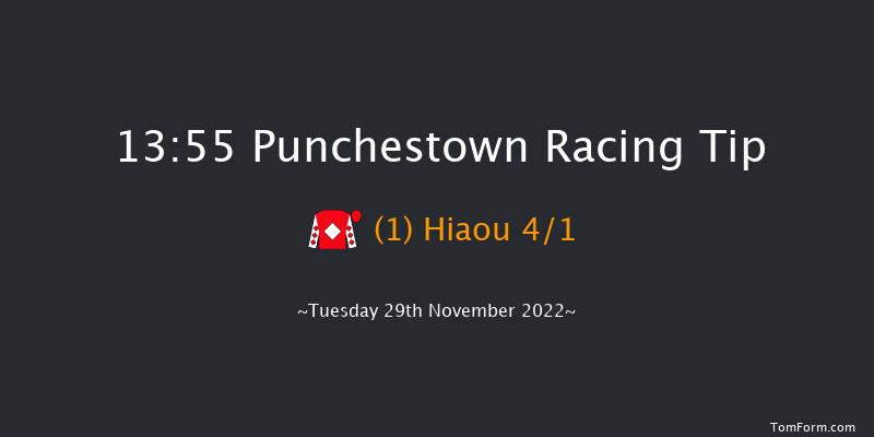 Punchestown 13:55 Conditions Hurdle 16f Sun 20th Nov 2022