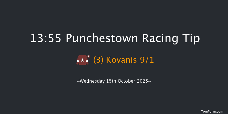Punchestown 13-55 16f Tue 14th Oct 2025