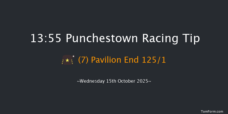Punchestown 13-55 16f Tue 14th Oct 2025