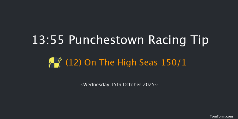 Punchestown 13-55 16f Tue 14th Oct 2025