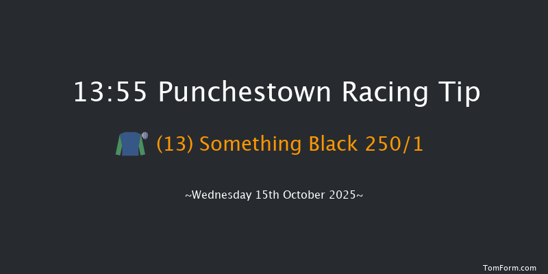 Punchestown 13-55 16f Tue 14th Oct 2025