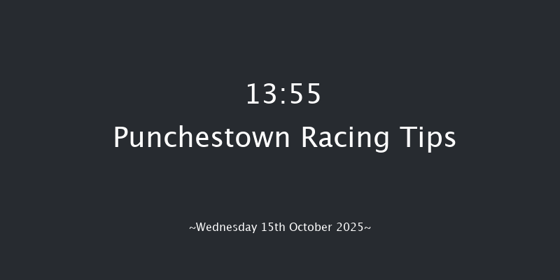 Punchestown 13-55 16f Tue 14th Oct 2025