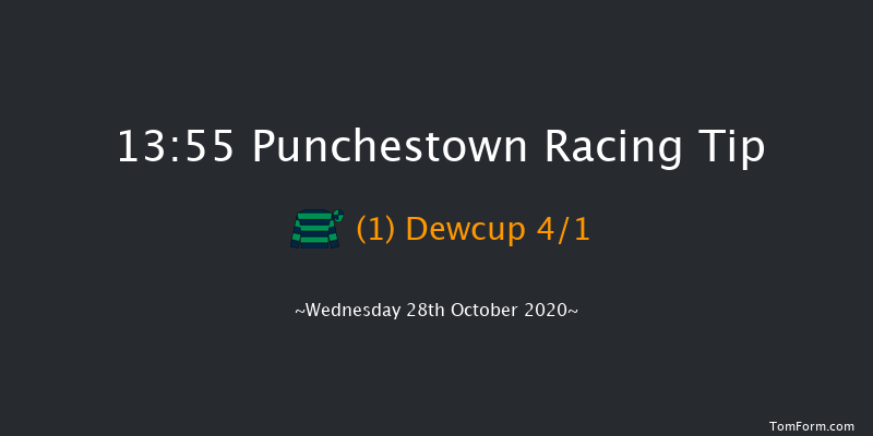 Bet 10 Get 10 On BETDAQ Virtuals Rated Novice Hurdle Punchestown 13:55 Maiden Hurdle 21f Wed 14th Oct 2020