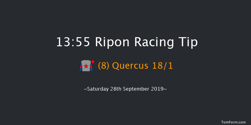 Ripon 13:55 Stakes (Class 5) 6f Tue 27th Aug 2019