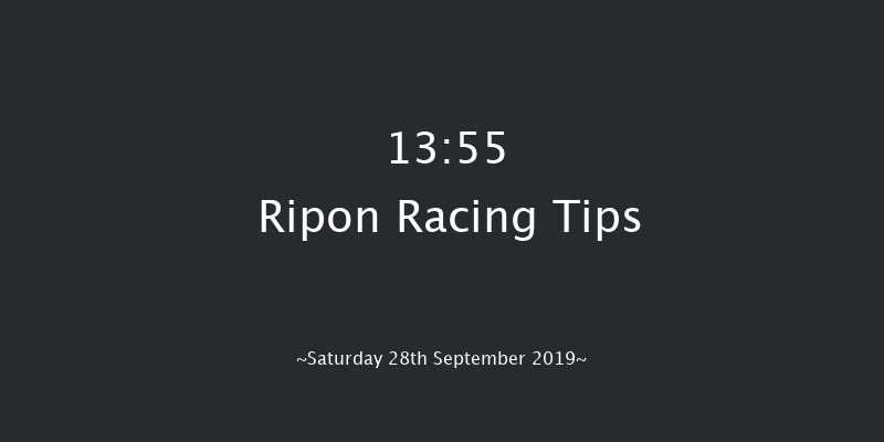 Ripon 13:55 Stakes (Class 5) 6f Tue 27th Aug 2019