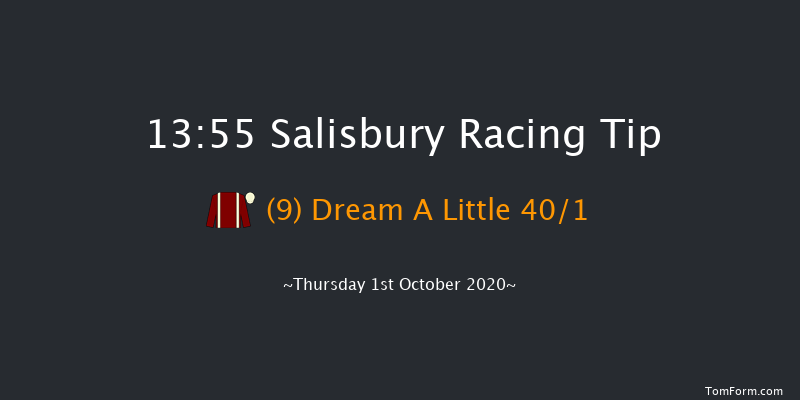 Byerley Stud British EBF Novice Stakes (Plus 10) (Div 2) Salisbury 13:55 Stakes (Class 4) 7f Fri 11th Sep 2020