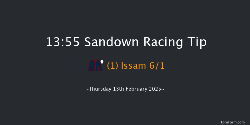 Sandown  13:55 Handicap Chase (Class 3) 15f Sat 1st Feb 2025