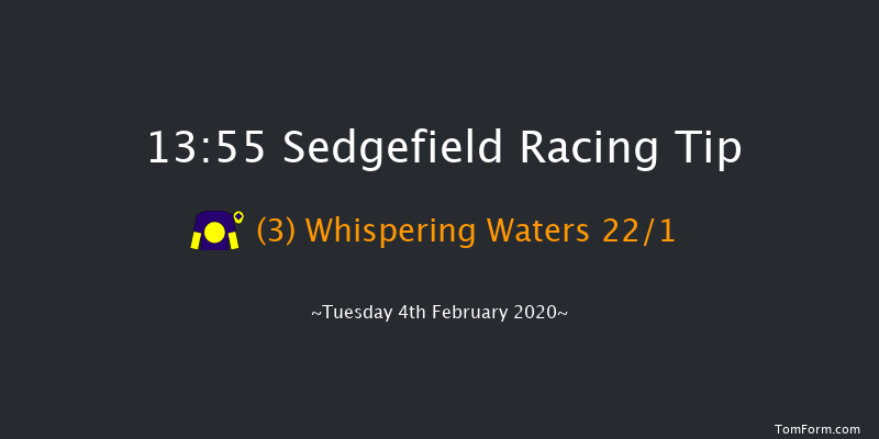 Sedgefield 13:55 Handicap Hurdle (Class 5) 20f Sun 26th Jan 2020