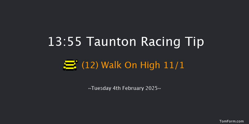 Taunton  13:55 Handicap Hurdle (Class 4) 16f Sat 18th Jan 2025