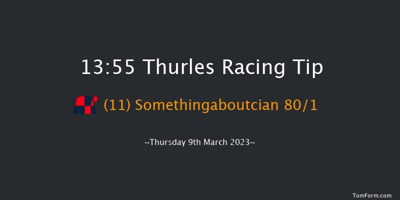 Thurles 13:55 Maiden Chase 21f Thu 23rd Feb 2023