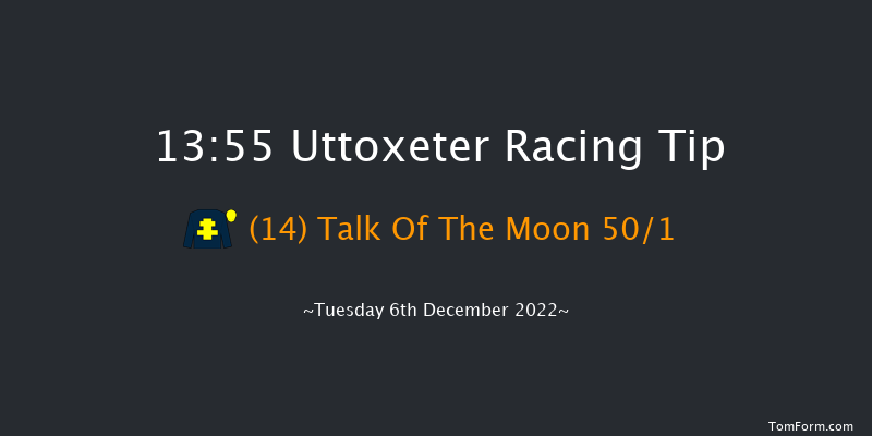 Uttoxeter 13:55 Handicap Hurdle (Class 5) 20f Sun 20th Nov 2022