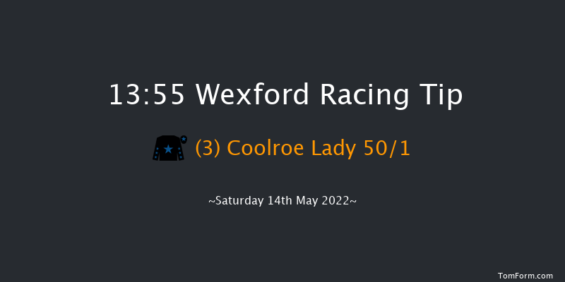 Wexford 13:55 Maiden Hurdle 20f Fri 1st Apr 2022