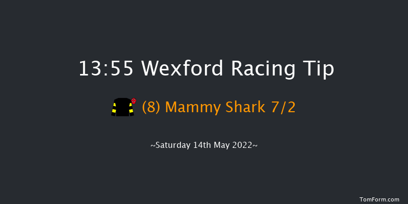 Wexford 13:55 Maiden Hurdle 20f Fri 1st Apr 2022