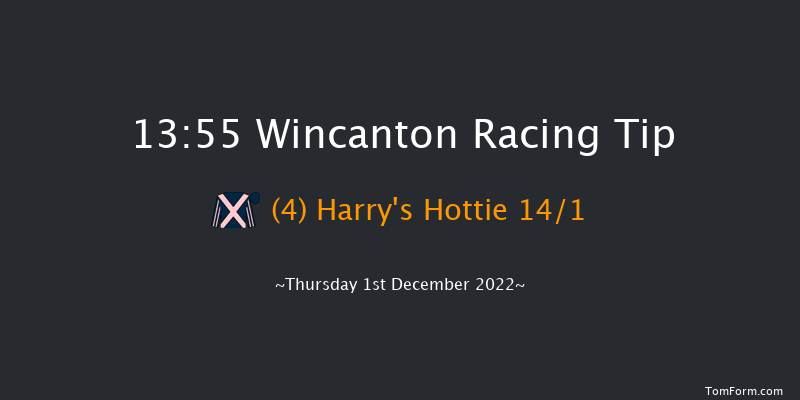 Wincanton 13:55 Handicap Hurdle (Class 5) 25f Thu 17th Nov 2022
