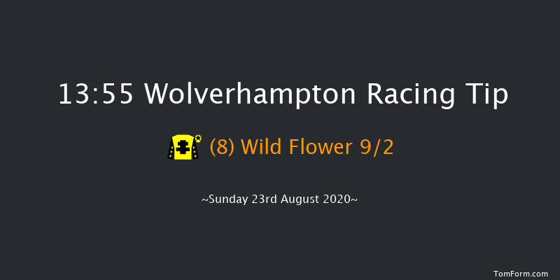 Visit attheraces.com Classified Stakes Wolverhampton 13:55 Stakes (Class 6) 5f Fri 21st Aug 2020