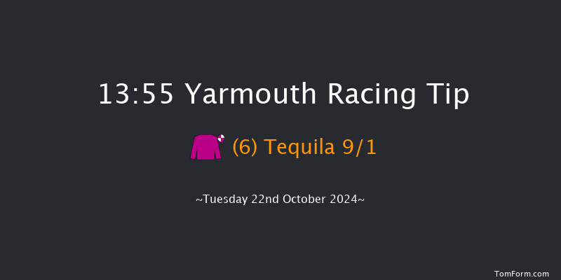 Yarmouth  13:55 Stakes (Class 4) 8f Tue 15th Oct 2024