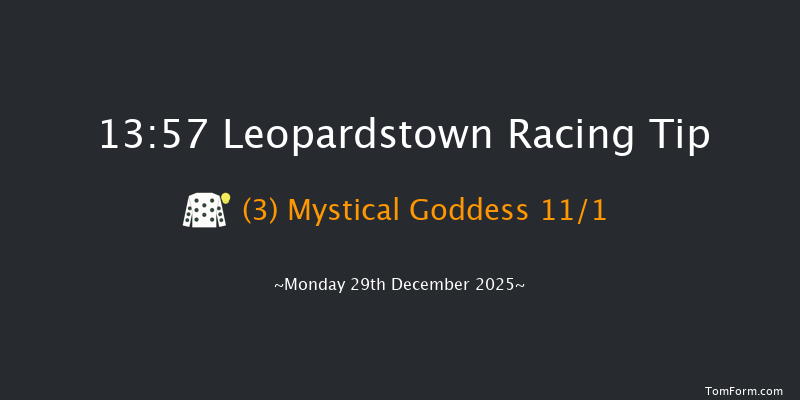 Leopardstown 13-57 24f Sun 28th Dec 2025
