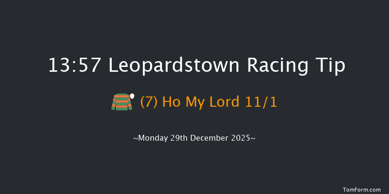 Leopardstown 13-57 24f Sun 28th Dec 2025
