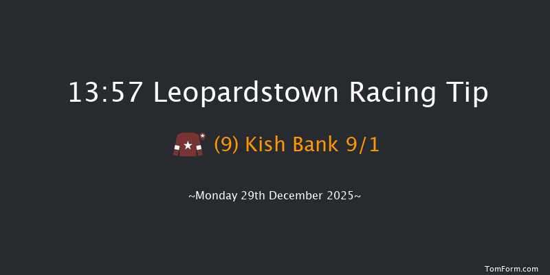 Leopardstown 13-57 24f Sun 28th Dec 2025