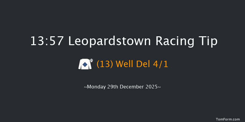 Leopardstown 13-57 24f Sun 28th Dec 2025