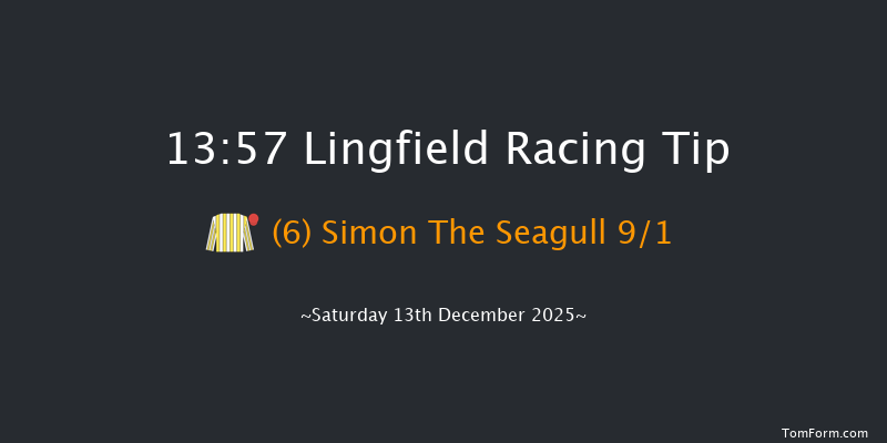 Lingfield 13-57 (Class 5) 19f Mon 8th Dec 2025