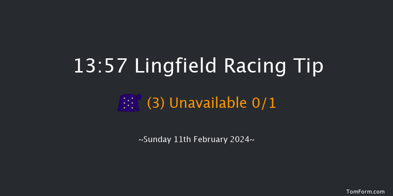 Lingfield  13:57 Handicap (Class 6) 5f Thu 8th Feb 2024