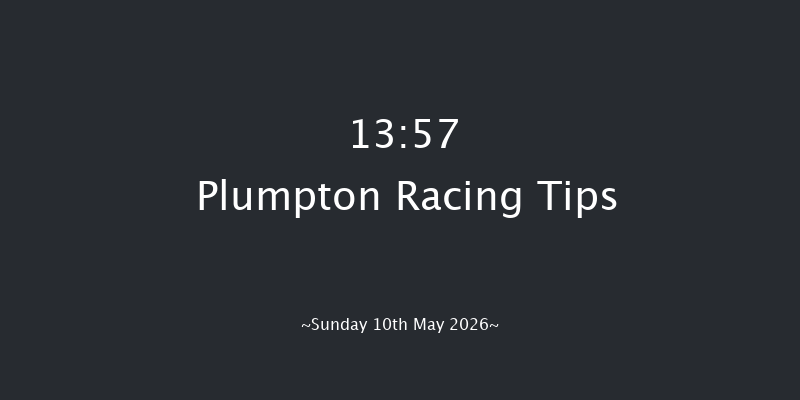 Plumpton 13-57 (Class 4) 15f Sun 19th Apr 2026