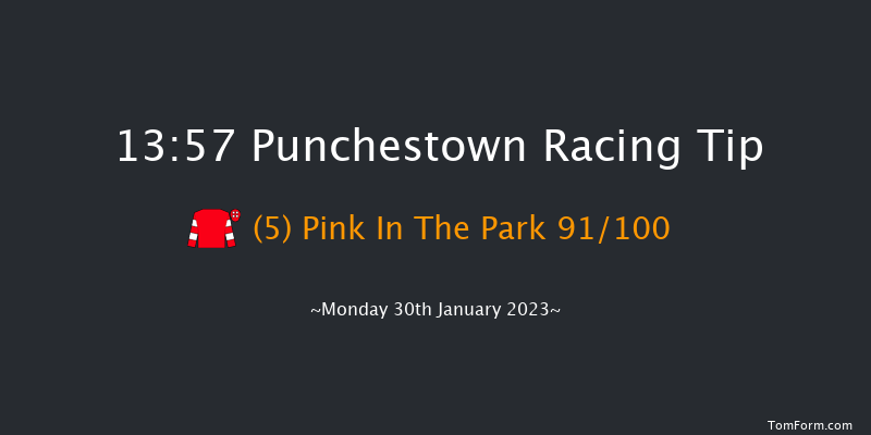 Punchestown 13:57 Maiden Hurdle 20f Mon 16th Jan 2023