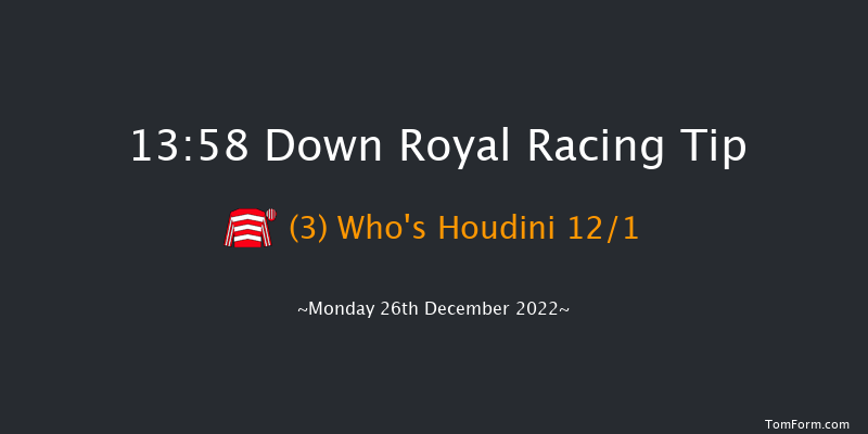 Down Royal 13:58 Handicap Chase 20f Sat 5th Nov 2022