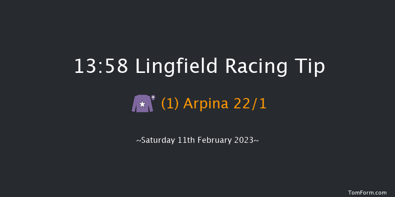 Lingfield 13:58 Stakes (Class 6) 8f Sat 4th Feb 2023
