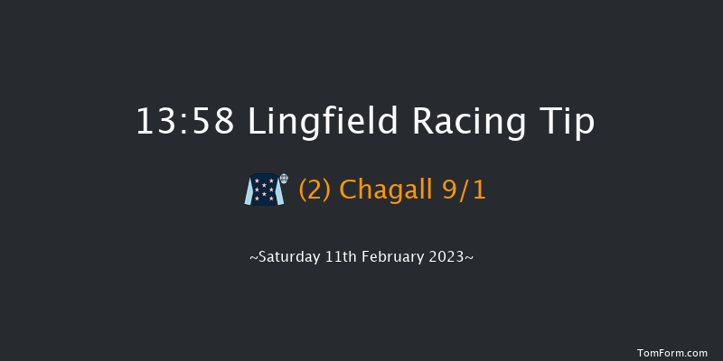 Lingfield 13:58 Stakes (Class 6) 8f Sat 4th Feb 2023