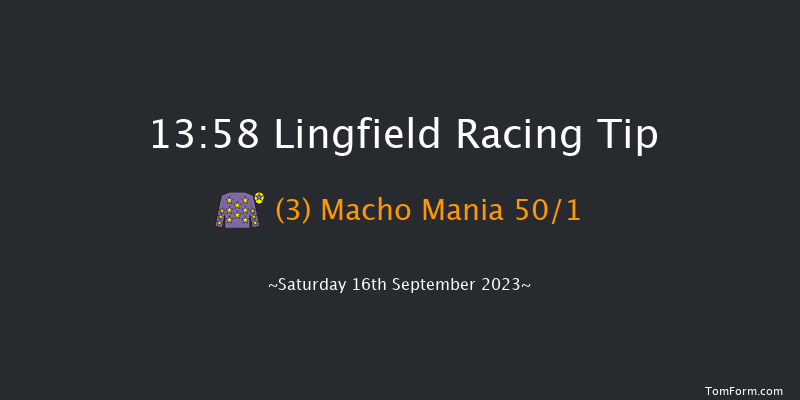 Lingfield 13:58 Maiden (Class 5) 5f Wed 6th Sep 2023