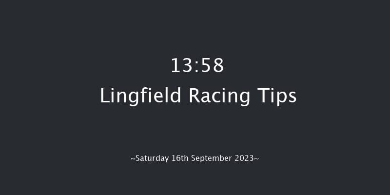 Lingfield 13:58 Maiden (Class 5) 5f Wed 6th Sep 2023