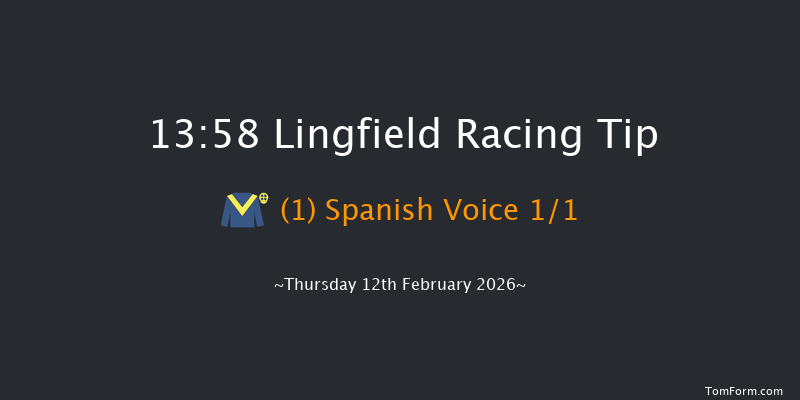 Lingfield 13-58 (Class 3) 10f Tue 10th Feb 2026