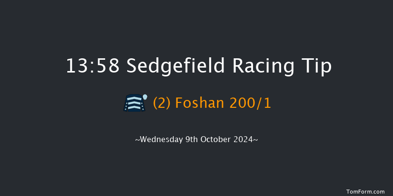 Sedgefield  13:58 Maiden Hurdle (Class 4) 17f Tue 1st Oct 2024