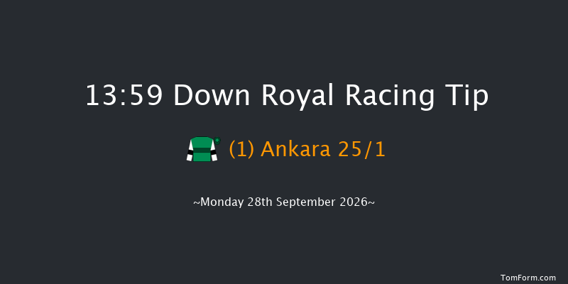 Down Royal 13-59 12f Fri 4th Sep 2026