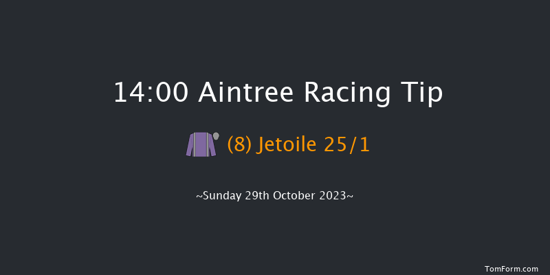 Aintree 14:00 Handicap Chase (Class 1) 20f Fri 16th Jun 2023