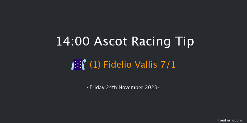 Ascot 14:00 Handicap Chase (Class 2) 21f Sat 4th Nov 2023