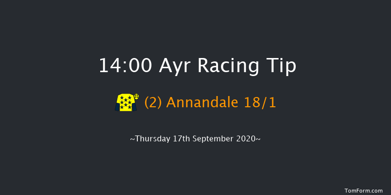 EBF Novice Stakes Ayr 14:00 Stakes (Class 5) 8f Mon 24th Aug 2020