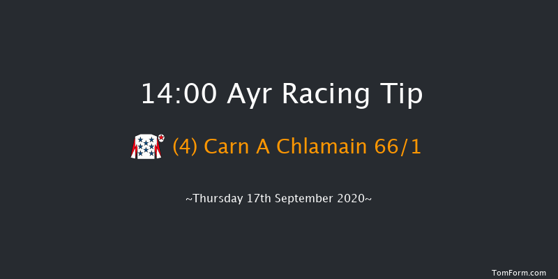 EBF Novice Stakes Ayr 14:00 Stakes (Class 5) 8f Mon 24th Aug 2020