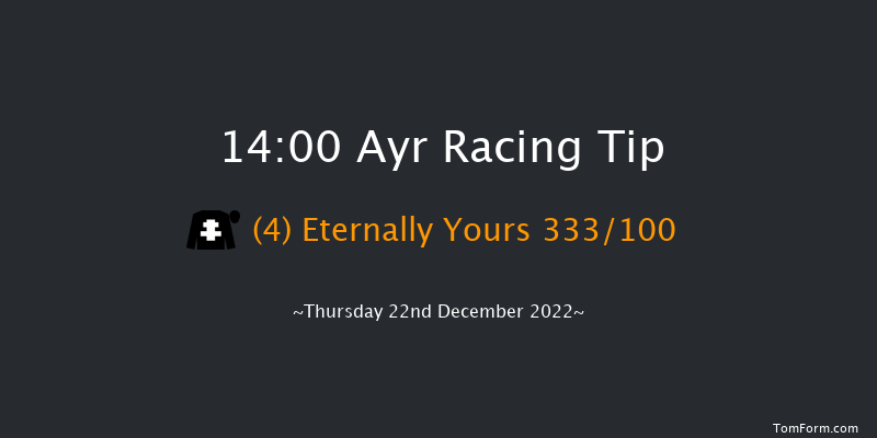 Ayr 14:00 Handicap Hurdle (Class 3) 20f Tue 29th Nov 2022